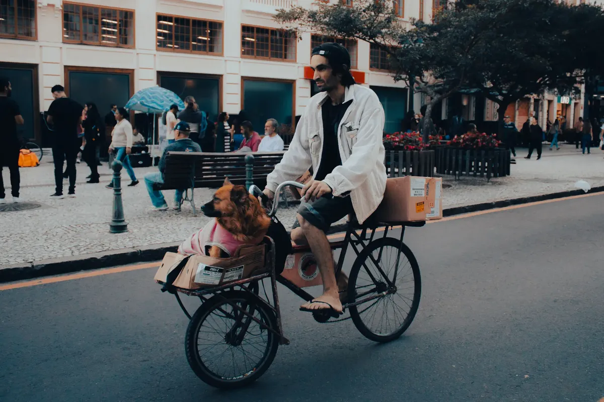 A man rides a bicycle with a dog in a basket along city streets in Curitiba, Brazil.